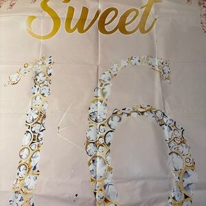 Sweet Sixteen Photo Backdrop